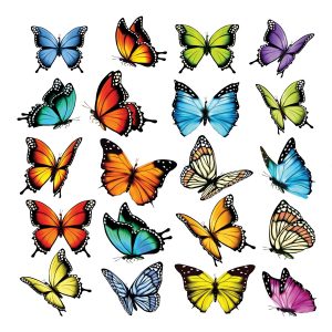 Samolepící dekorace Butterflies