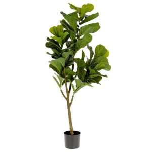 Umělá květina Kave Home Ficus 150 cm  - Výška150 cm- Průměr 60 cm