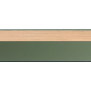 Světle zelený dubový konferenční stolek Teulat Arista 110 x 60 cm  - Šířka110 cm- Hloubka 60 cm