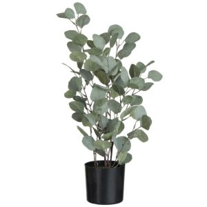 Umělá květina J-Line Maryath Eucalyptus 60 cm  - výška60 cm- Průměr květináče 14 cm