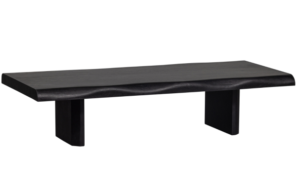Hoorns Černý mangový konferenční stolek Colenea 120 x 55 cm  - Výška28 cm- Šířka 120 cm
