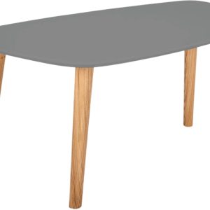 Šedý lakovaný konferenční stolek RAGABA ENDOCARP 80 x 48 cm  - Šířka80 cm- Hloubka 48 cm