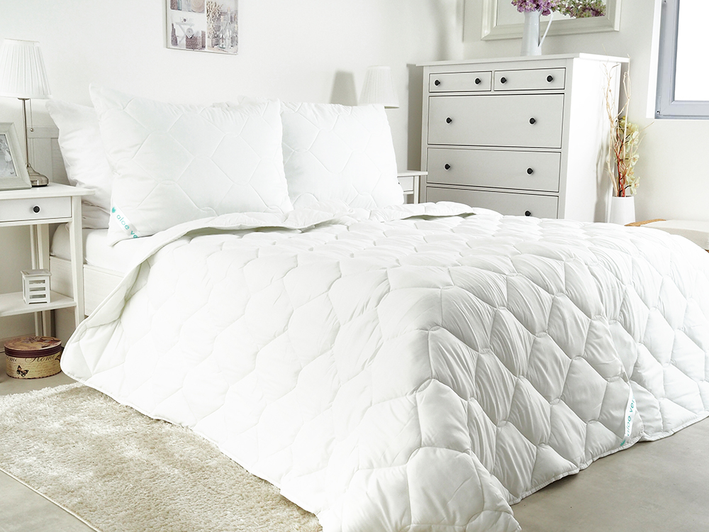 OLYMPUS DIGITAL CAMERA B.E.S. - Petrovice