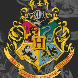 Jerry Fabrics Bavlněná froté osuška 70x140 cm - Harry Potter  - MateriálBavlna- Materiál Froté
