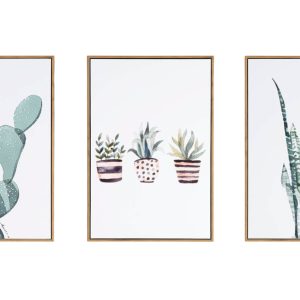 Set tří obrazů Somcasa Cactus 60 x 40 cm  - Výška60 cm- Šířka 40 cm