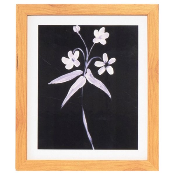 Obraz Somcasa Lily 30 x 25 cm  - Výška30 cm- Šířka 25 cm
