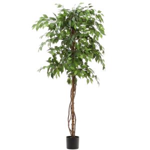 Umělá květina Kave Home Ficus 180 cm  - Výška180 cm- Průměr 50 cm