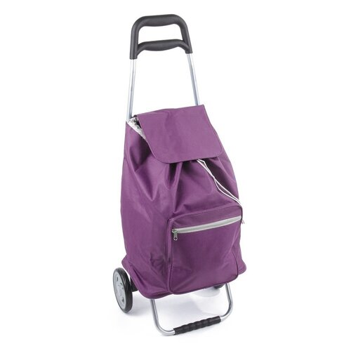 ALDO nákupní taška na kolečkách CARGO fialová  - Barvafialová-