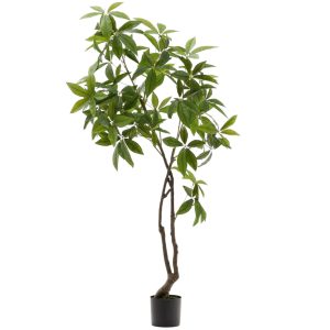 Umělá rostlina Kave Home Pachira 180 cm  - Výška180 cm- Průměr 70 cm