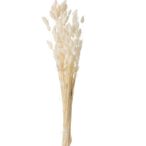 Umělá květina J-line Wigle 73 cm  - Výška73 cm- Šířka 10 cm