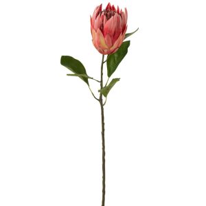 Umělá květina J-line Proteas 67 cm  - Výška67 cm- Šířka 20 cm