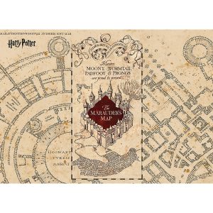 Dětská fototapeta Harry Potter Marauders Map 252 x 182 cm
