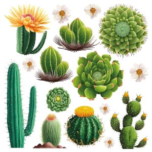 Samolepící dekorace Cactus