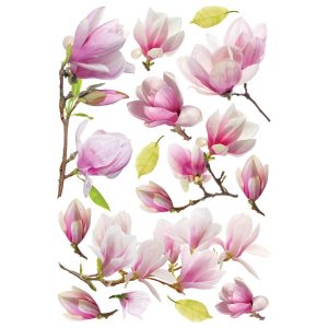 Samolepící dekorace Magnolia Flowers