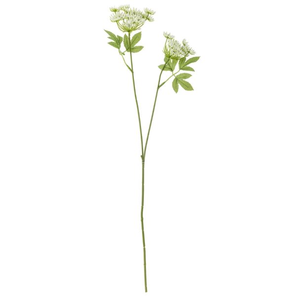 Umělá květina Bloomingville Fennel 66 cm  - Výška66 cm- Šířka 14 cm