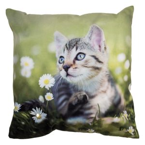 Zelený povlak na polštář s koťátkem na louce - 45*45 cm Clayre & Eef  - -