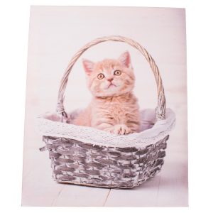 Obraz na plátně Kittie in basket